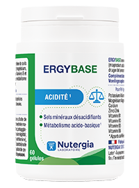 ERGYBASE