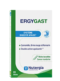 ERGYGAST