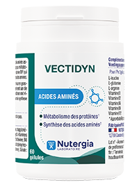 VECTIDYN