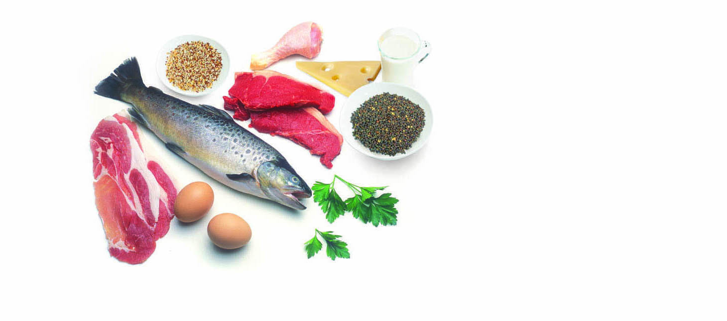 Preparations rich in protein