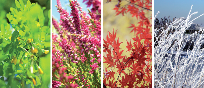 Trace elements over the seasons