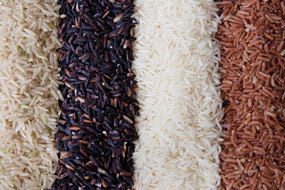 Riz