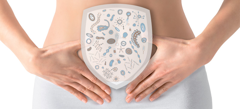 The microbiota, your immunity ally
