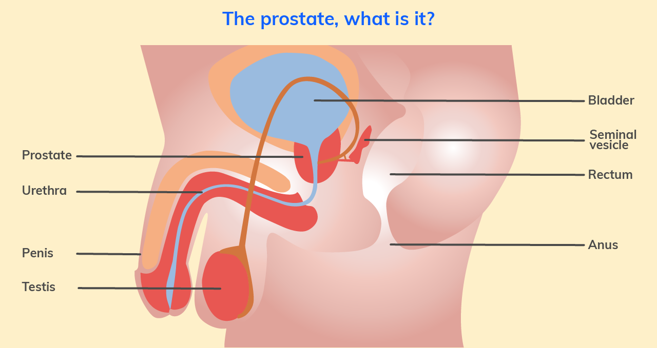 seasonal prostatitis