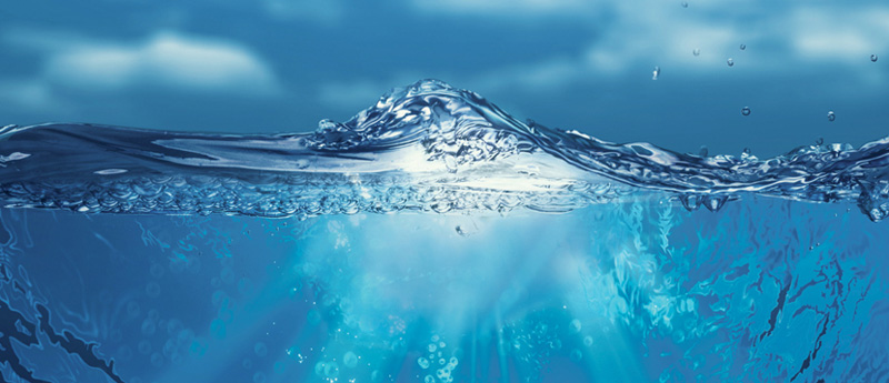 Essential trace elements